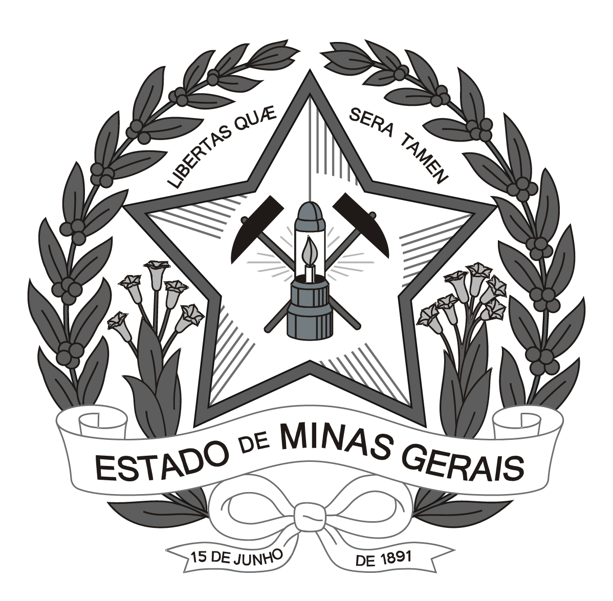 Sistema de Informação de Saúde Ocular e Auditiva